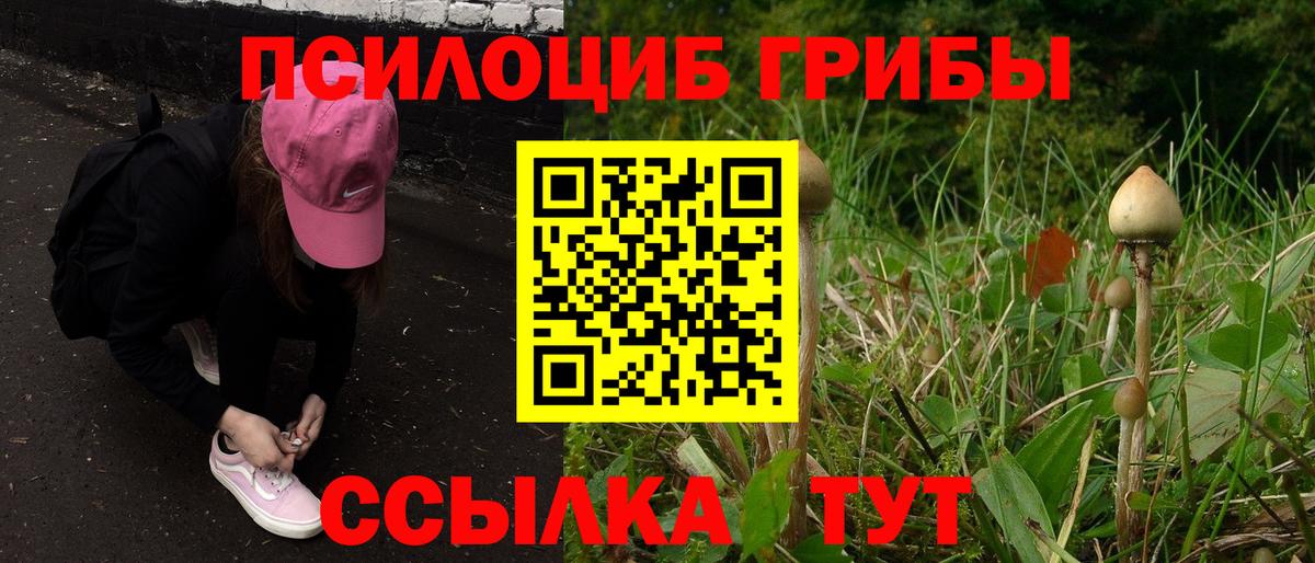 Псилоцибиновые грибы MAGIC MUSHROOMS Ишимбай