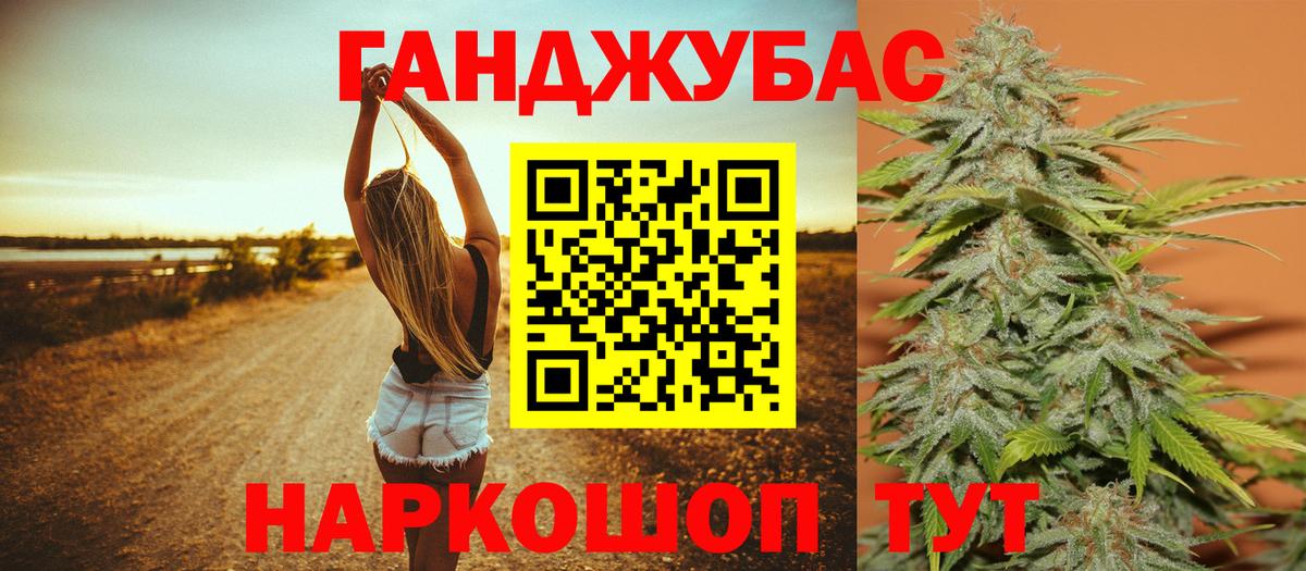 Шишки марихуана планчик  Вход с VPN  Ишимбай  Конопля гибрид  Бошки Шишки сатива 